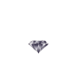Network & Security Services