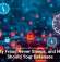 Identity Fraud Never Sleeps, and Neither Should Your Defenses
